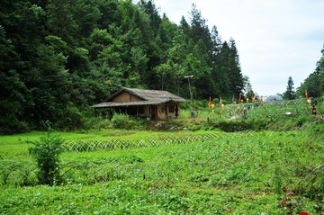 傩王谷铁匠铺