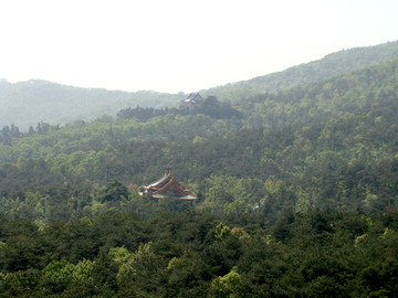 山中藏古寺