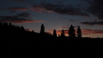 天山夕阳红