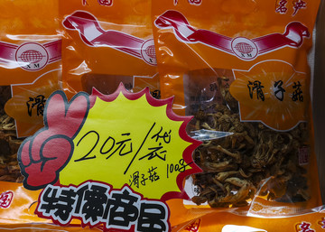 滑子菇
