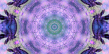 梦幻紫色