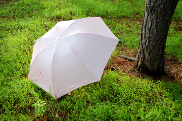 阳伞创意摄影