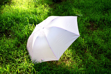 阳光下的一把伞