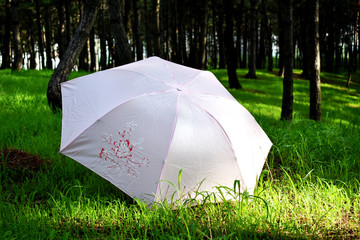 草坪上的太阳伞