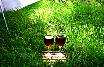 草地上的两杯红酒