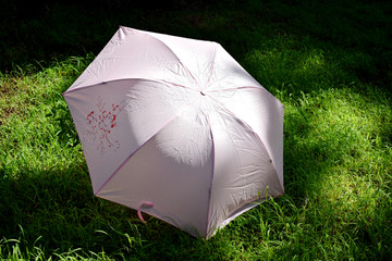 草地上的太阳伞