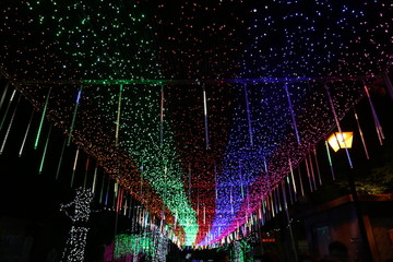 山东青岛市南中山公园LED灯展