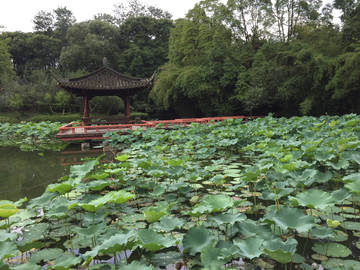 望丛祠