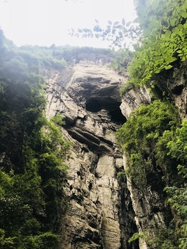 山