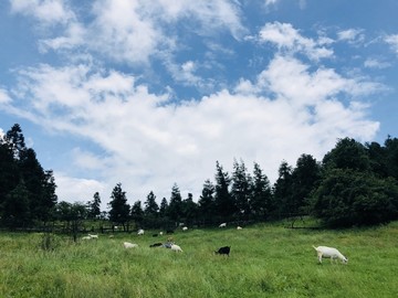 天空