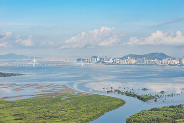 深圳湾风光