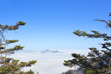 原始森林和远山云海