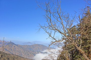 原始森林和远山云海