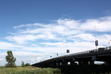 湿地高架桥