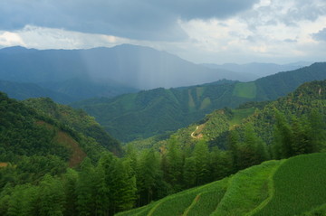 高山人家