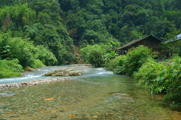 山中溪流