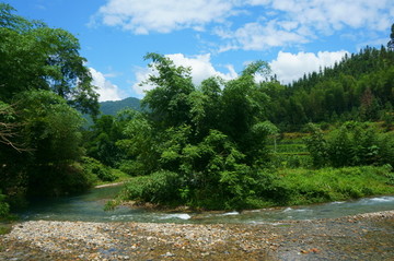 山中溪流