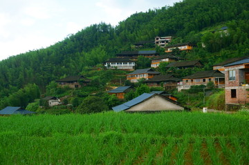 大山里的村庄