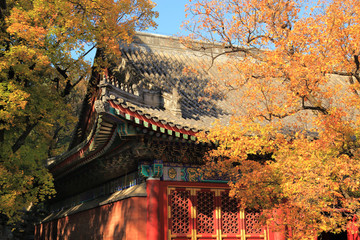 秋季的北京香山勤政殿