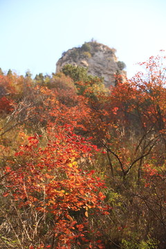 山东淄博淄川潭溪山旅游区