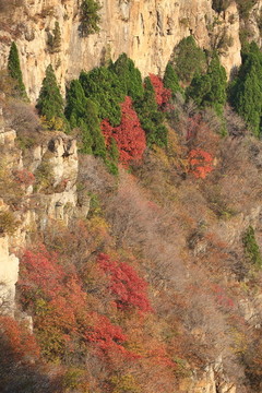 山东淄博淄川潭溪山旅游区