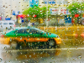 雨中 大雨