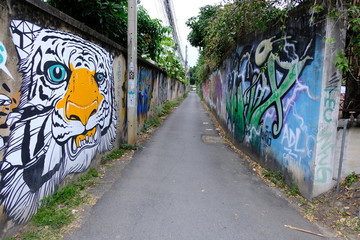 清迈街道涂鸦