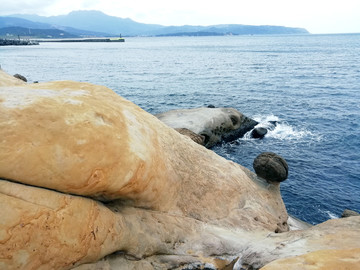 台湾化石野柳地质公园