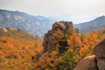 山东青岛崂山崂顶秋色