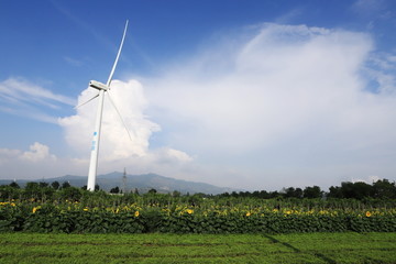 风能是一种清洁无公害的的可再生