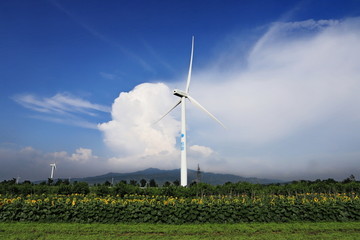 风能是一种清洁无公害的的可再生
