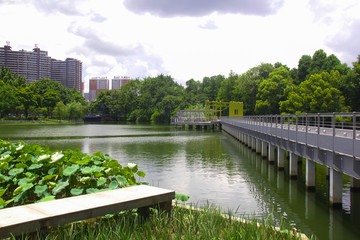 公园风景铁桥