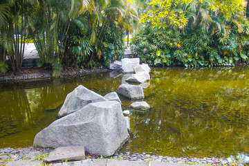 公园小河小溪水中石头