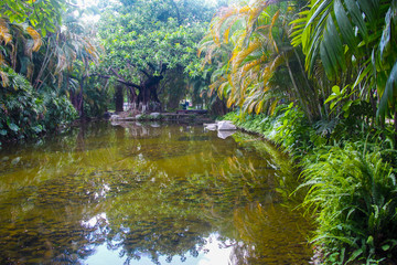 公园小河小溪