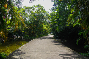 公园小路公园小溪