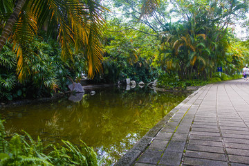 公园小路公园小河风景