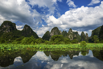 广西钟山十里画廊荷塘风光高清