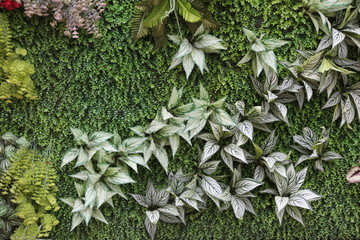 花卉绿植墙