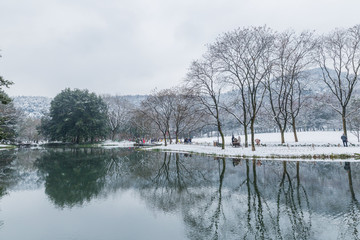 杭州太子湾公园雪景