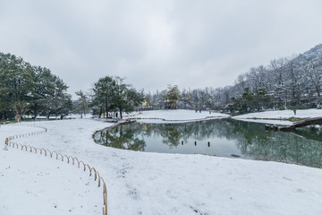 杭州太子湾公园雪景