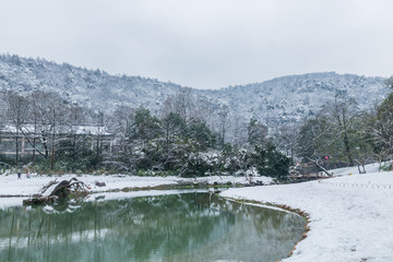 杭州太子湾公园雪景