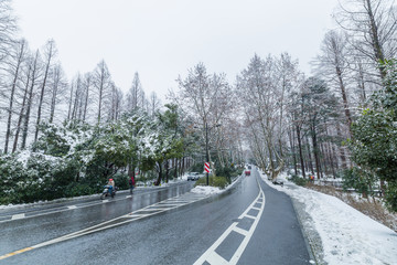 杭州西湖雪景