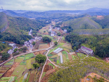 乡村风景