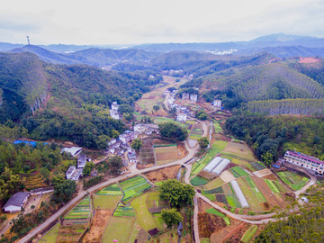 乡村风景