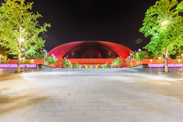 北京中国国家大剧院夜景