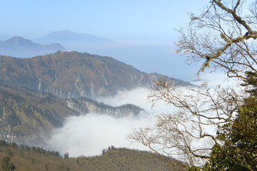 原始森林和远山云海