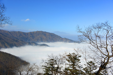 原始森林和远山云海