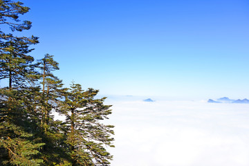 原始森林和远山云海