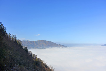 原始森林和远山云海