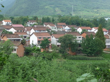 新农村